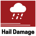 Hail Damage